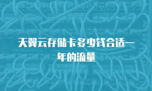 天翼云存储卡多少钱合适一年的流量