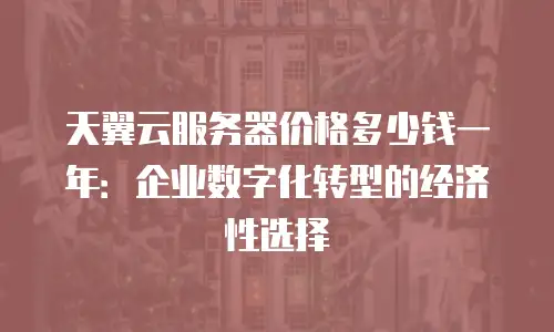 天翼云服务器价格多少钱一年：企业数字化转型的经济性选择