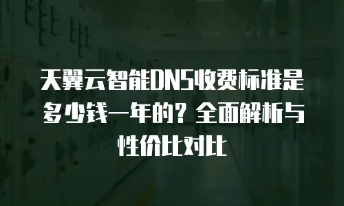 天翼云智能DNS收费标准是多少钱一年的？全面解析与性价比对比