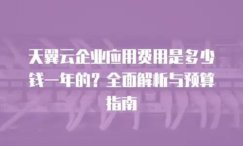 天翼云企业应用费用是多少钱一年的？全面解析与预算指南
