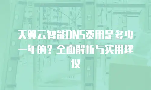 天翼云智能DNS费用是多少一年的？全面解析与实用建议