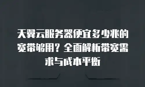 天翼云服务器便宜多少兆的宽带够用？全面解析带宽需求与成本平衡