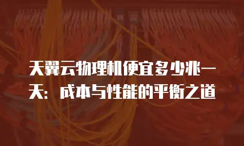 天翼云物理机便宜多少兆一天：成本与性能的平衡之道