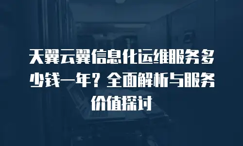 天翼云翼信息化运维服务多少钱一年？全面解析与服务价值探讨
