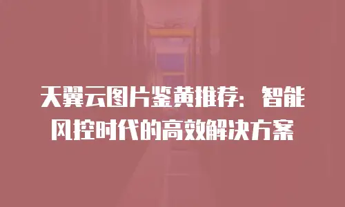 天翼云图片鉴黄推荐：智能风控时代的高效解决方案
