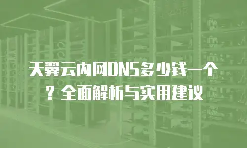天翼云内网DNS多少钱一个？全面解析与实用建议