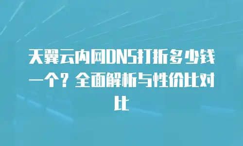 天翼云内网DNS打折多少钱一个？全面解析与性价比对比