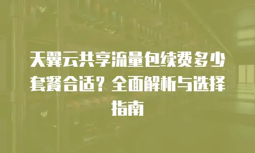 天翼云共享流量包续费多少套餐合适？全面解析与选择指南