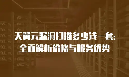 天翼云漏洞扫描多少钱一套：全面解析价格与服务优势