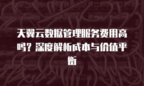 天翼云数据管理服务费用高吗？深度解析成本与价值平衡