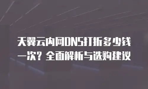 天翼云内网DNS打折多少钱一次？全面解析与选购建议