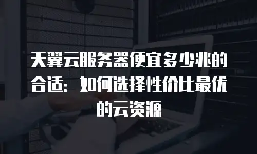 天翼云服务器便宜多少兆的合适：如何选择性价比最优的云资源