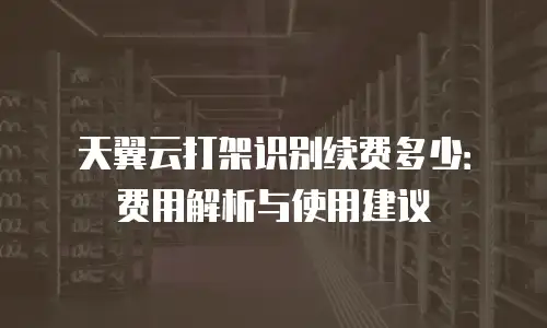 天翼云打架识别续费多少：费用解析与使用建议