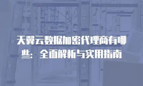 天翼云数据加密代理商有哪些：全面解析与实用指南