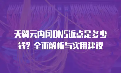 天翼云内网DNS返点是多少钱？全面解析与实用建议