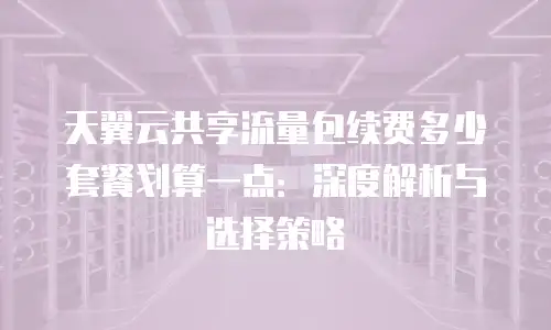 天翼云共享流量包续费多少套餐划算一点：深度解析与选择策略