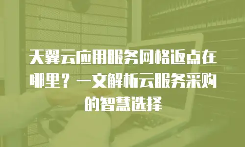 天翼云应用服务网格返点在哪里？一文解析云服务采购的智慧选择