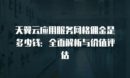 天翼云应用服务网格佣金是多少钱：全面解析与价值评估