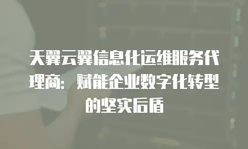天翼云翼信息化运维服务代理商：赋能企业数字化转型的坚实后盾