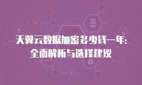 天翼云数据加密多少钱一年：全面解析与选择建议