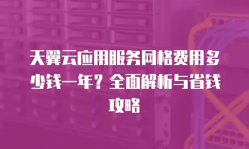 天翼云应用服务网格费用多少钱一年？全面解析与省钱攻略