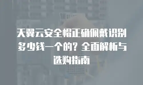 天翼云安全帽正确佩戴识别多少钱一个的？全面解析与选购指南