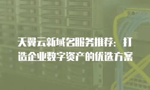 天翼云新域名服务推荐：打造企业数字资产的优选方案