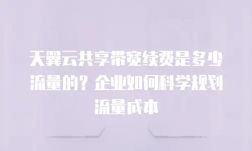 天翼云共享带宽续费是多少流量的？企业如何科学规划流量成本
