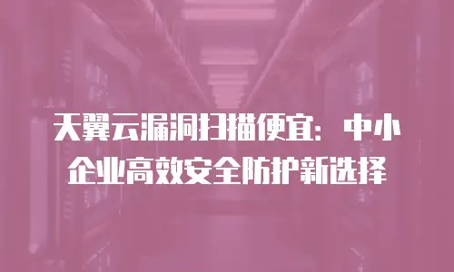 天翼云漏洞扫描便宜：中小企业高效安全防护新选择