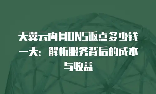 天翼云内网DNS返点多少钱一天：解析服务背后的成本与收益