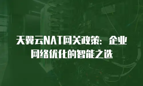 天翼云NAT网关政策：企业网络优化的智能之选