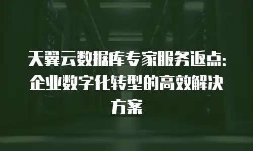 天翼云数据库专家服务返点：企业数字化转型的高效解决方案