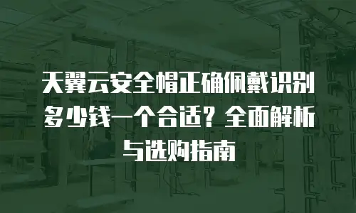 天翼云安全帽正确佩戴识别多少钱一个合适？全面解析与选购指南