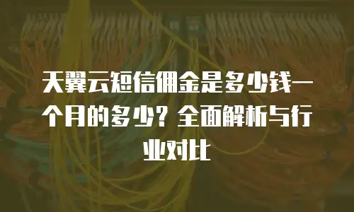 天翼云短信佣金是多少钱一个月的多少？全面解析与行业对比