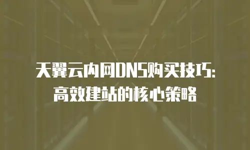 天翼云内网DNS购买技巧：高效建站的核心策略