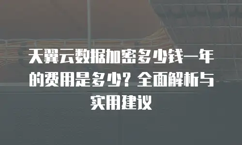 天翼云数据加密多少钱一年的费用是多少？全面解析与实用建议