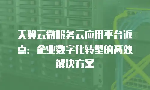 天翼云微服务云应用平台返点：企业数字化转型的高效解决方案