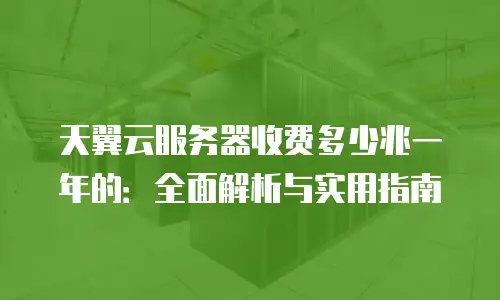 天翼云服务器收费多少兆一年的：全面解析与实用指南