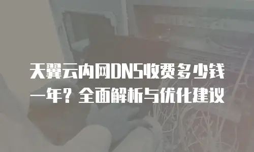 天翼云内网DNS收费多少钱一年？全面解析与优化建议
