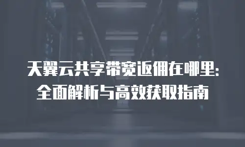 天翼云共享带宽返佣在哪里：全面解析与高效获取指南