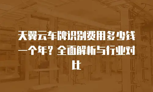 天翼云车牌识别费用多少钱一个年？全面解析与行业对比