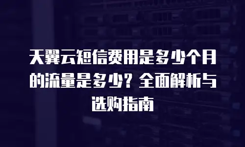 天翼云短信费用是多少个月的流量是多少？全面解析与选购指南