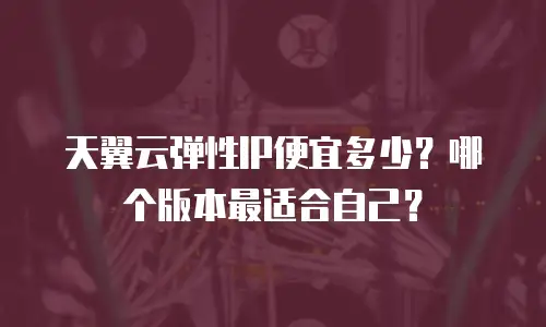 天翼云弹性IP便宜多少？哪个版本最适合自己？