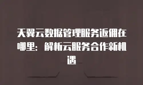天翼云数据管理服务返佣在哪里：解析云服务合作新机遇