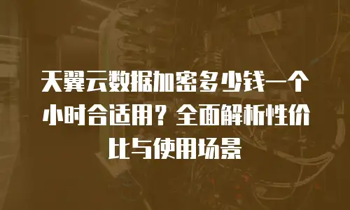 天翼云数据加密多少钱一个小时合适用？全面解析性价比与使用场景