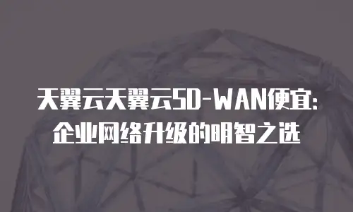 天翼云天翼云SD-WAN便宜：企业网络升级的明智之选