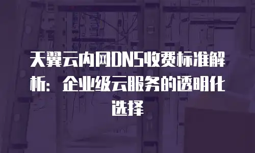 天翼云内网DNS收费标准解析：企业级云服务的透明化选择