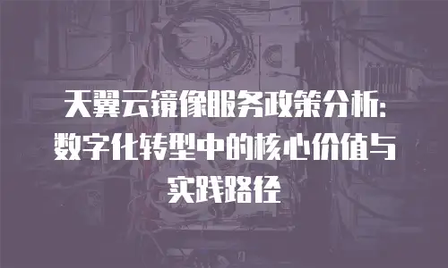 天翼云镜像服务政策分析：数字化转型中的核心价值与实践路径