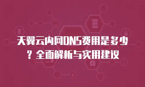 天翼云内网DNS费用是多少？全面解析与实用建议