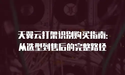 天翼云打架识别购买指南：从选型到售后的完整路径